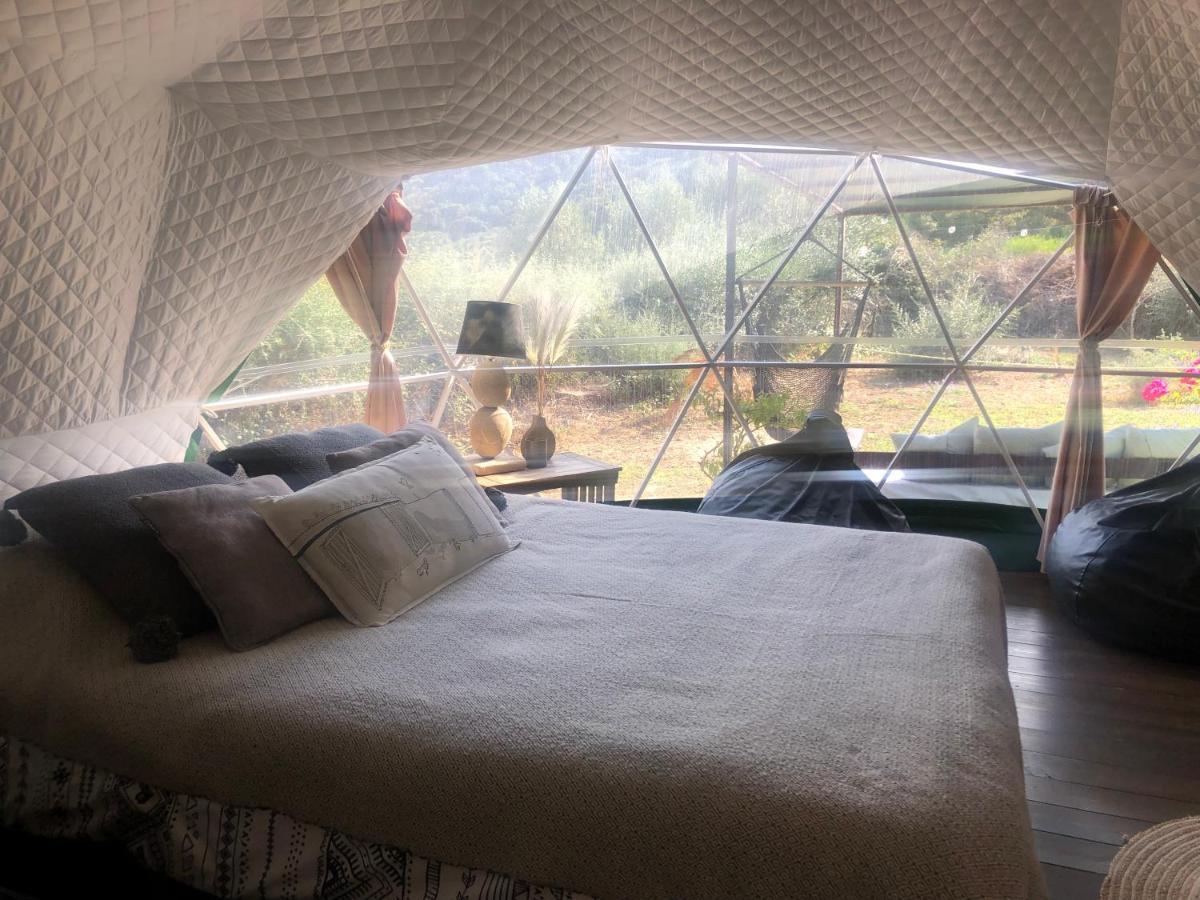 Eco Spirit Hotel ตาริฟา ภายนอก รูปภาพ