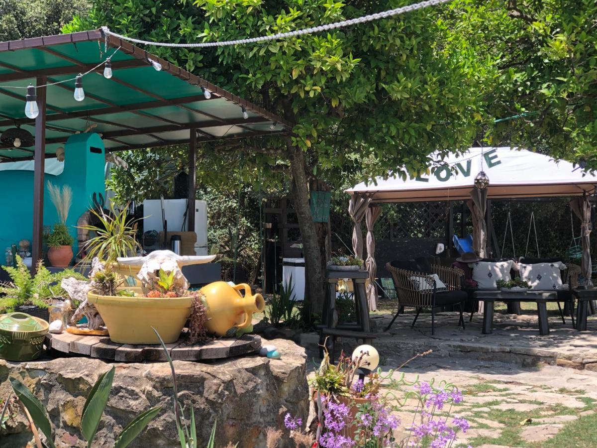 Eco Spirit Hotel ตาริฟา ภายนอก รูปภาพ